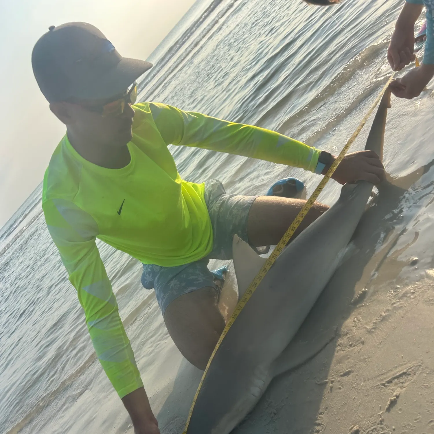 The most recent Blacknose shark catches on Fishbrain