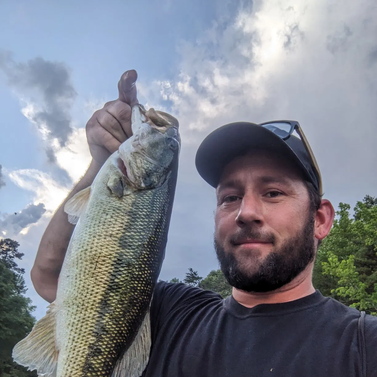 most liked catch image