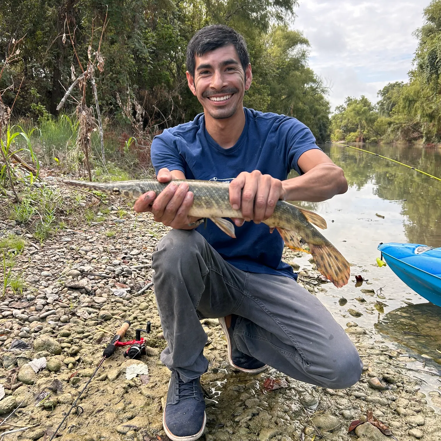 Spotted gar caught on Fishbrain