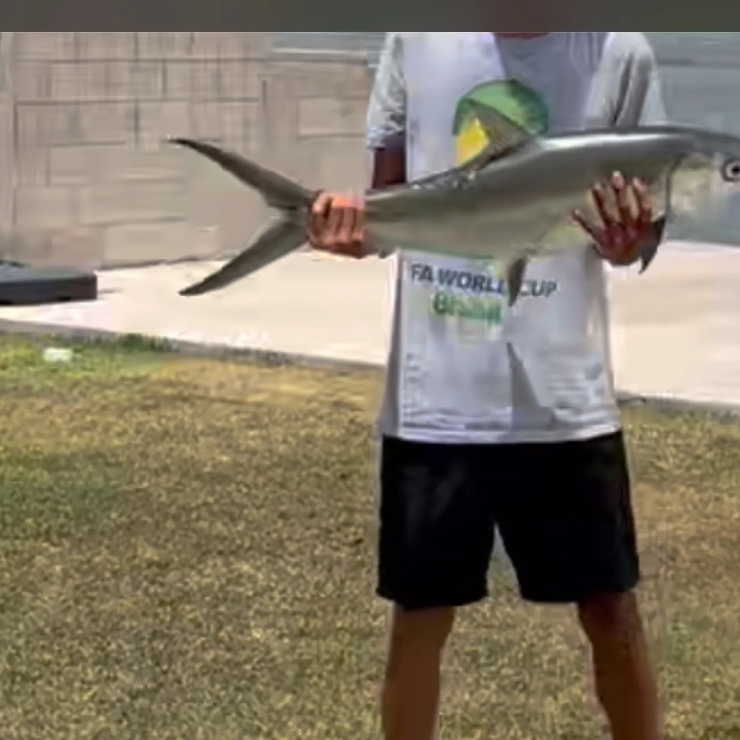 The most recent Milkfish catches on Fishbrain