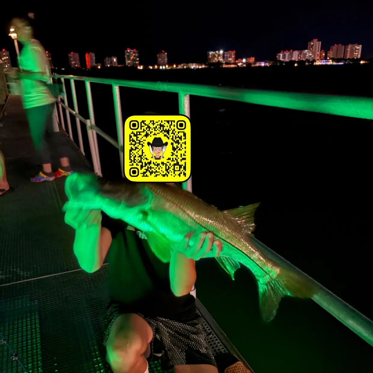 The most recent Common snook catches on Fishbrain