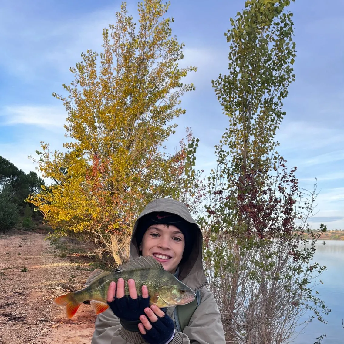 European perch caught on Fishbrain