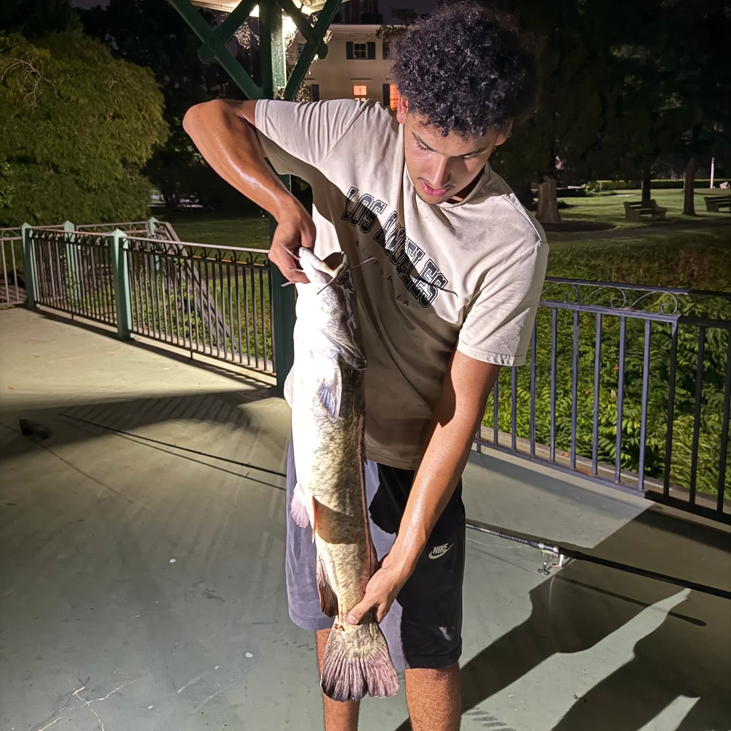 catch