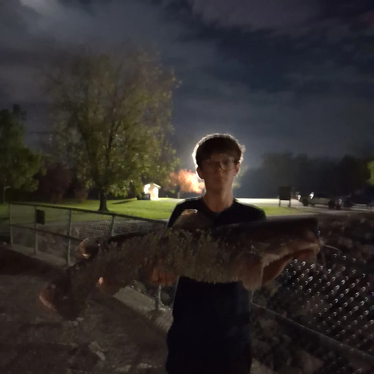 Flathead catfish caught on Fishbrain