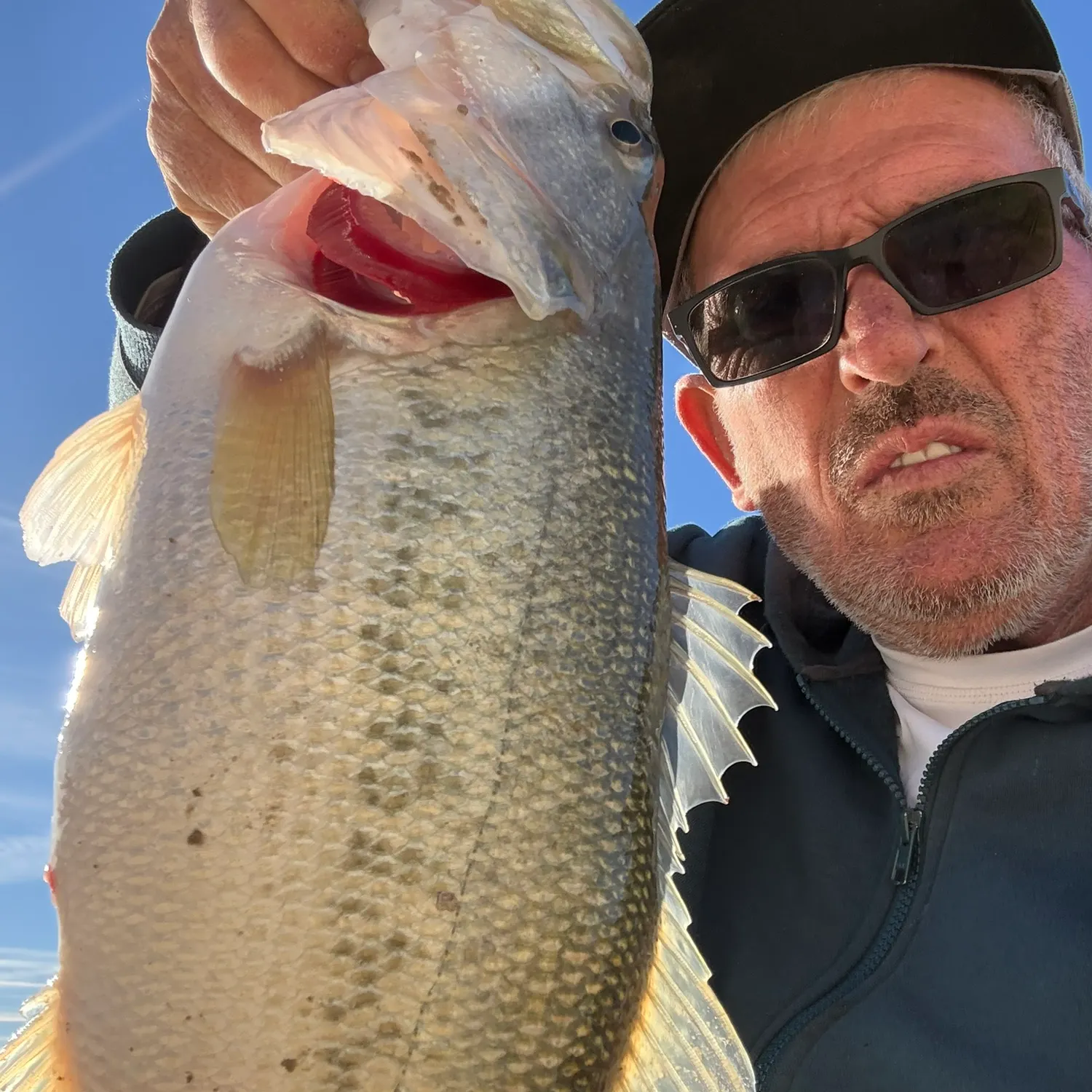 The most recent Largemouth bass catches on Fishbrain