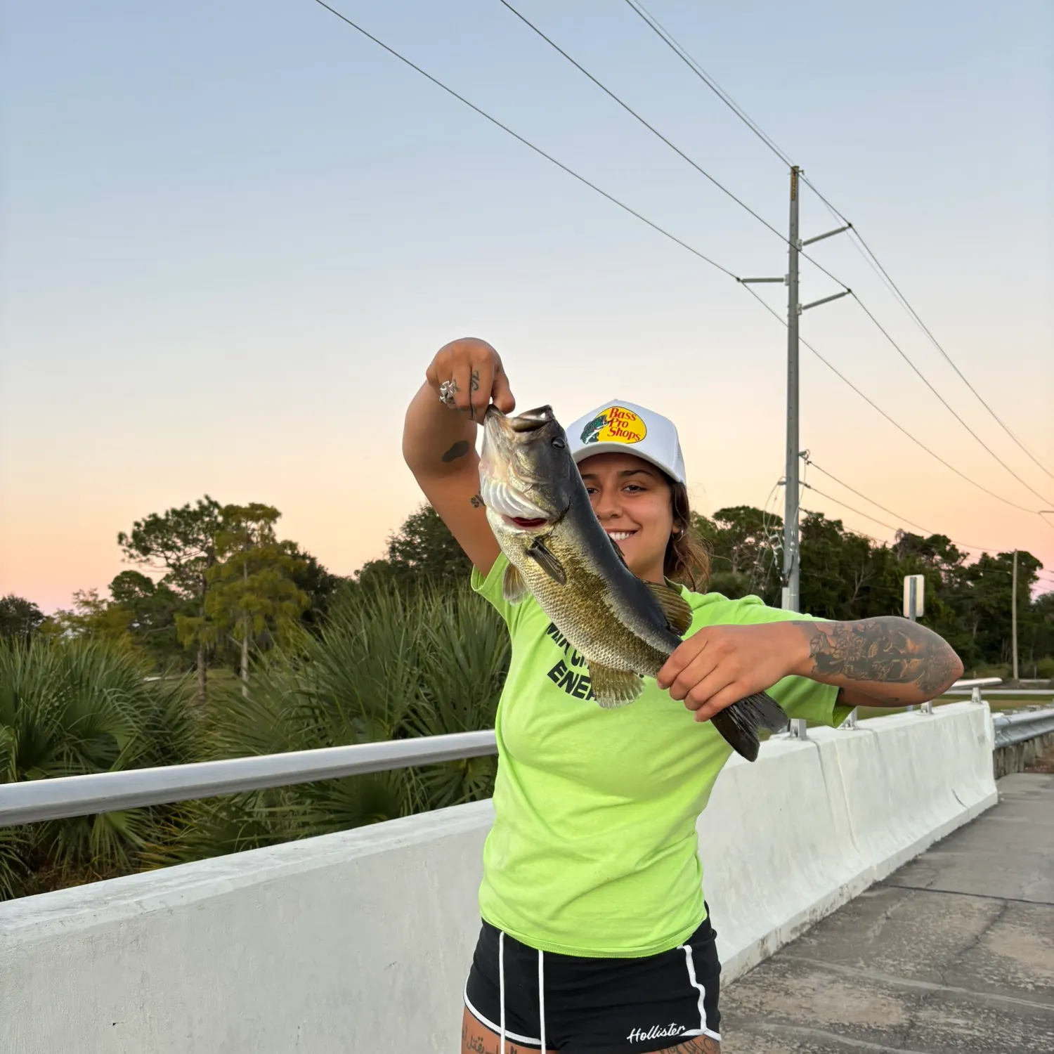 recently logged catches