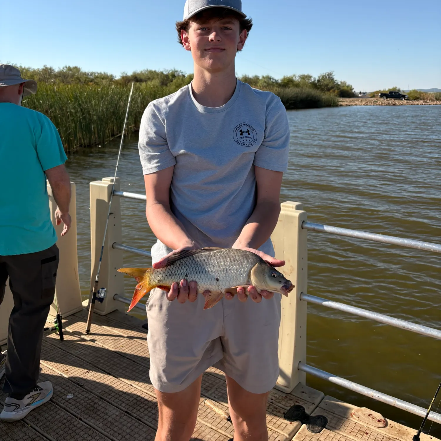 Common carp caught on Fishbrain