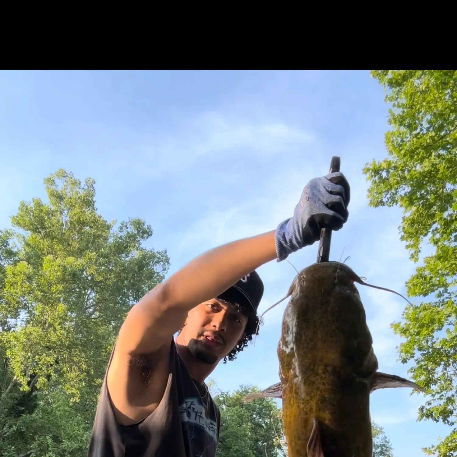 most liked catch image