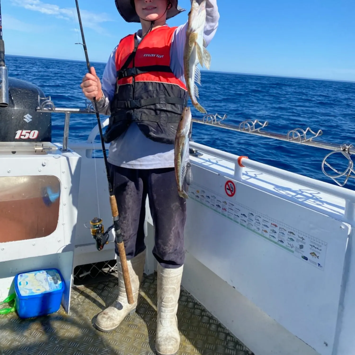 The most recent Tiger flathead catches on Fishbrain