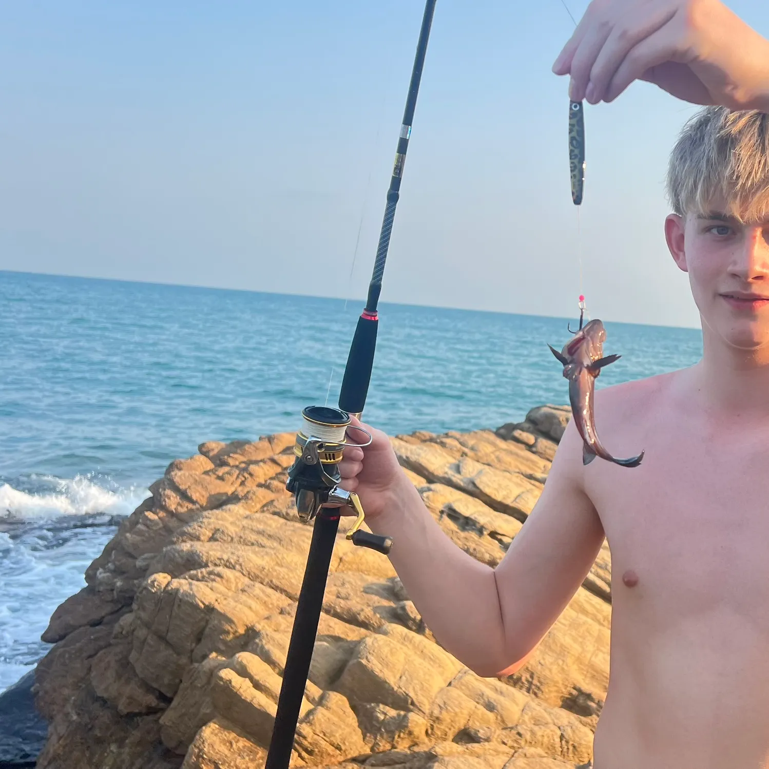 The most recent Bluelined hind catches on Fishbrain