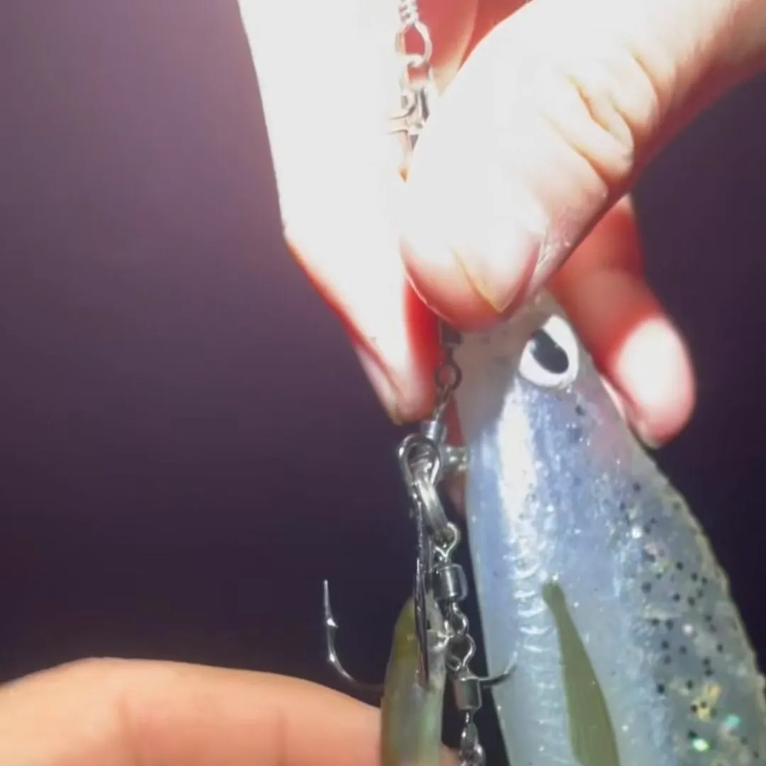 The most recent Common bleak catches on Fishbrain