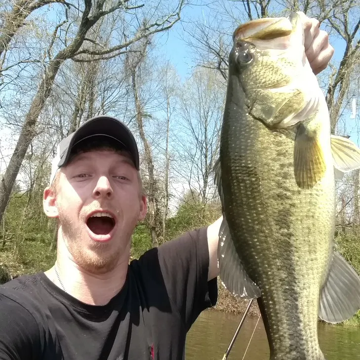 angler catch
