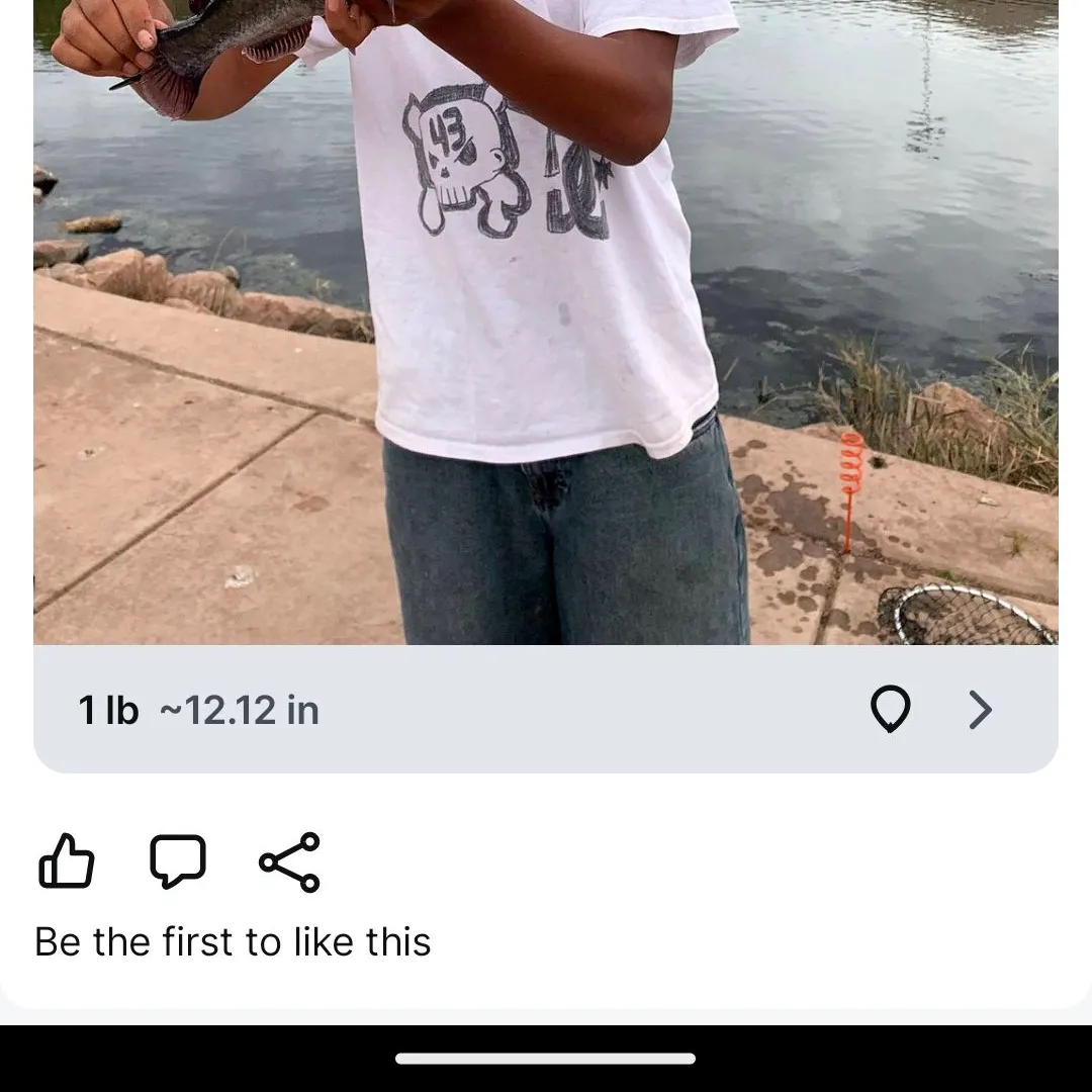 Black bullhead caught on Fishbrain