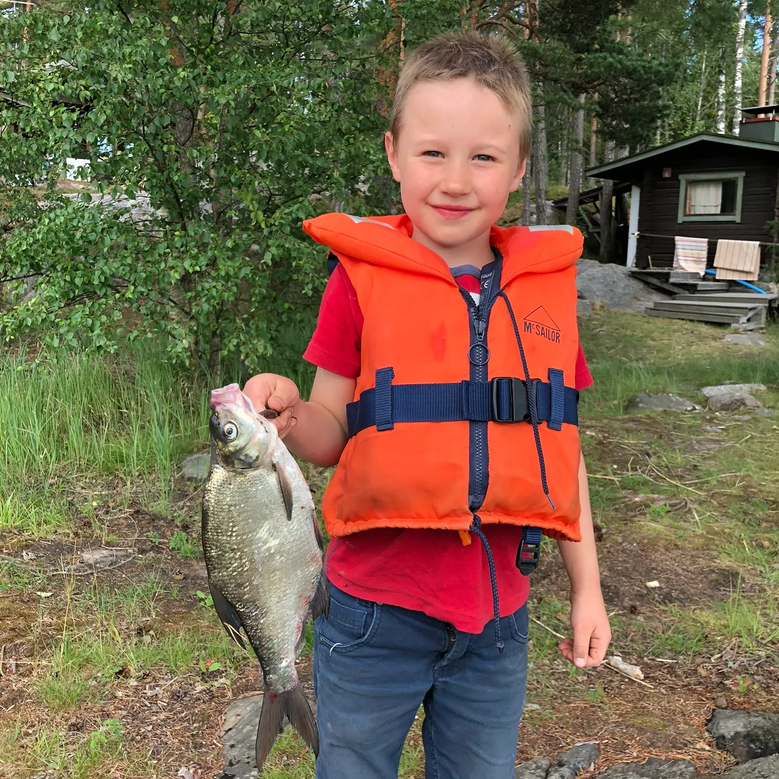 The most recent Common bream catches on Fishbrain
