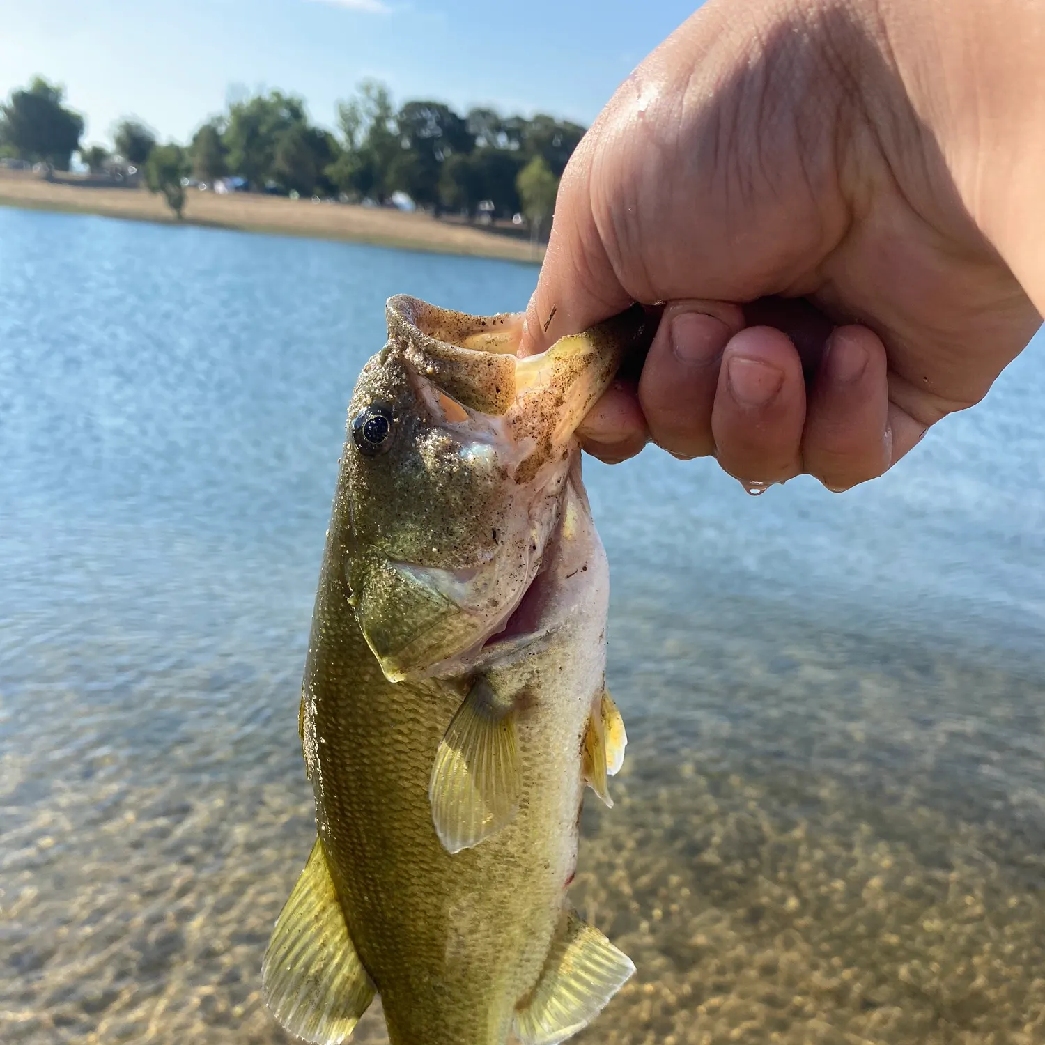 angler catch