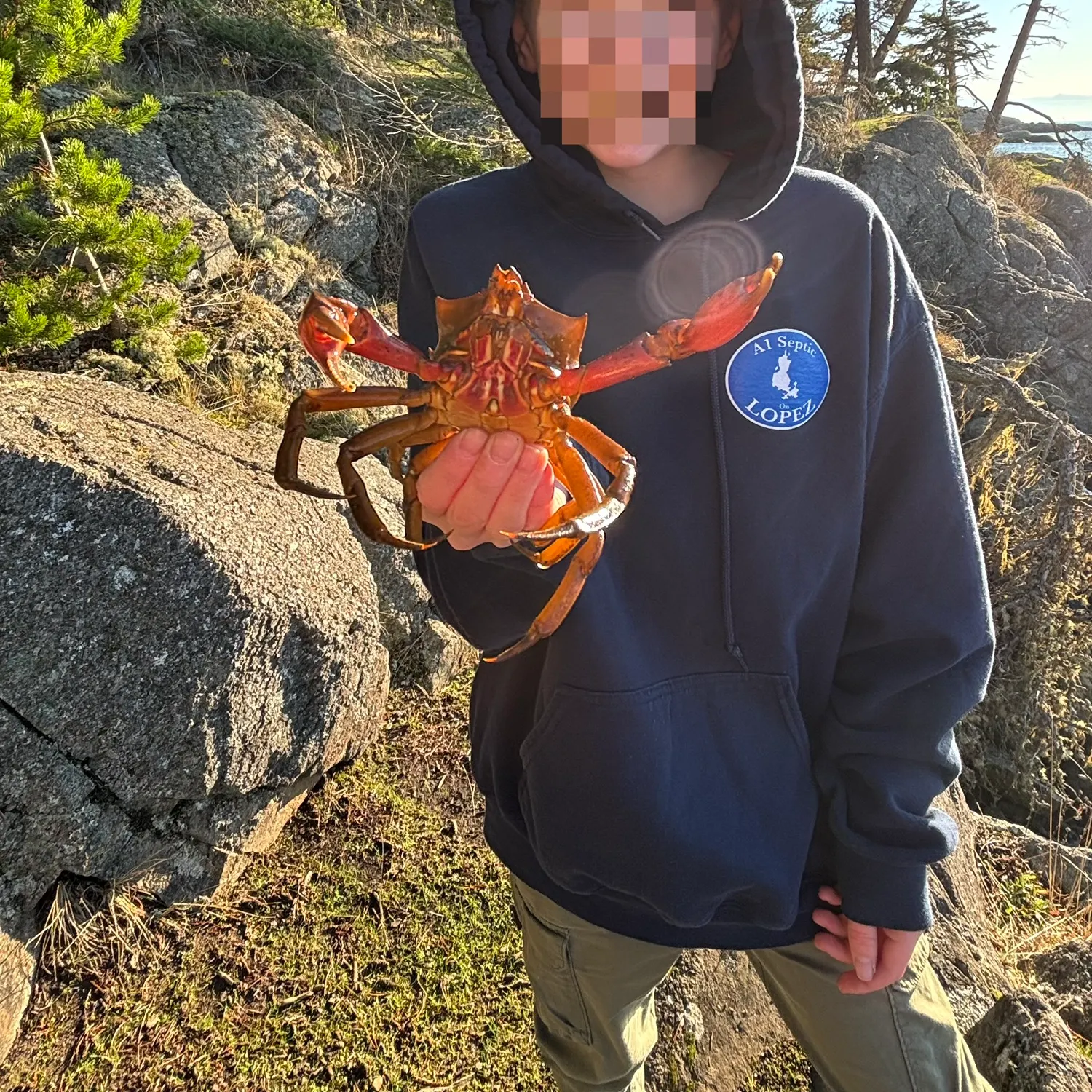 The most recent Northern kelp crab catches on Fishbrain
