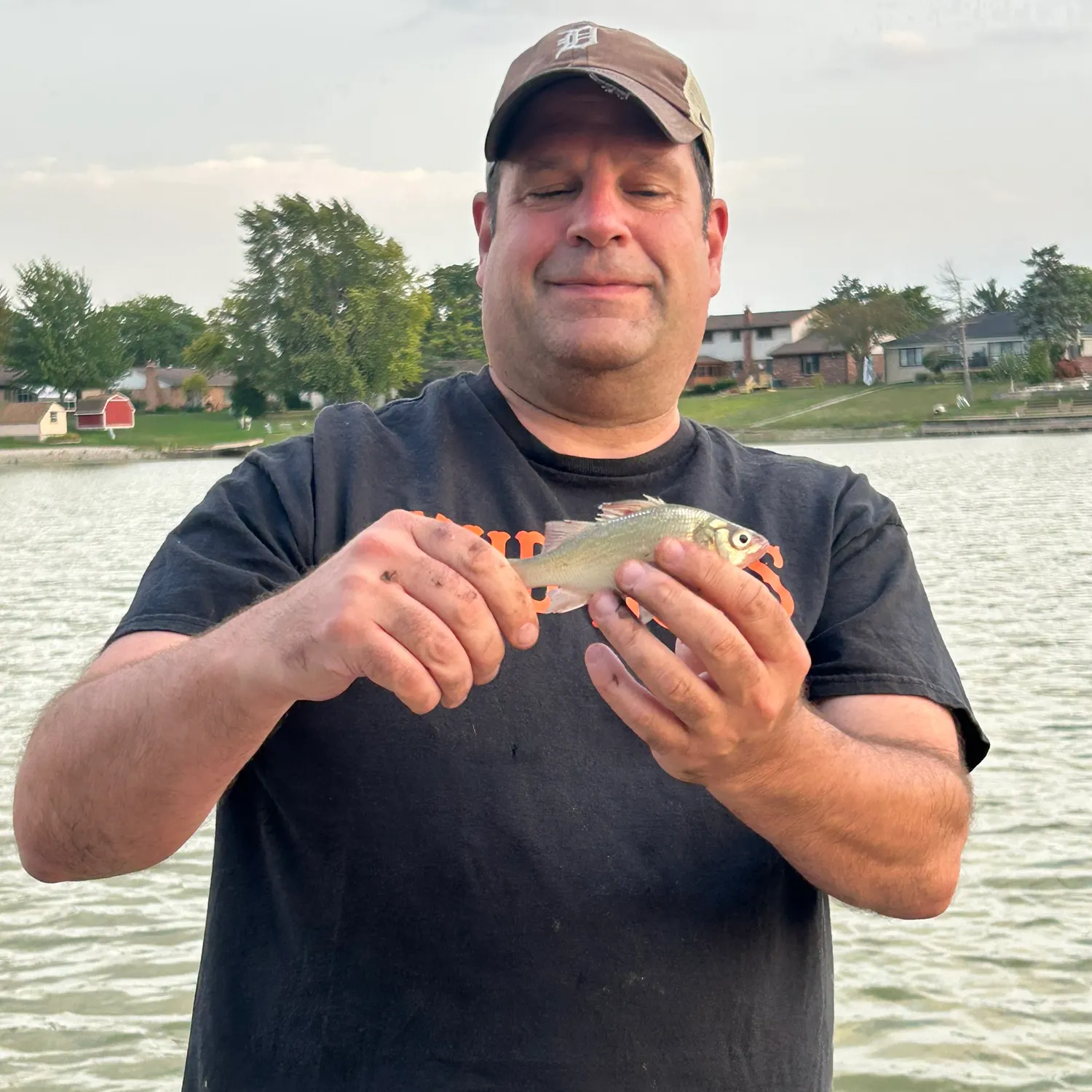Lake whitefish caught on Fishbrain