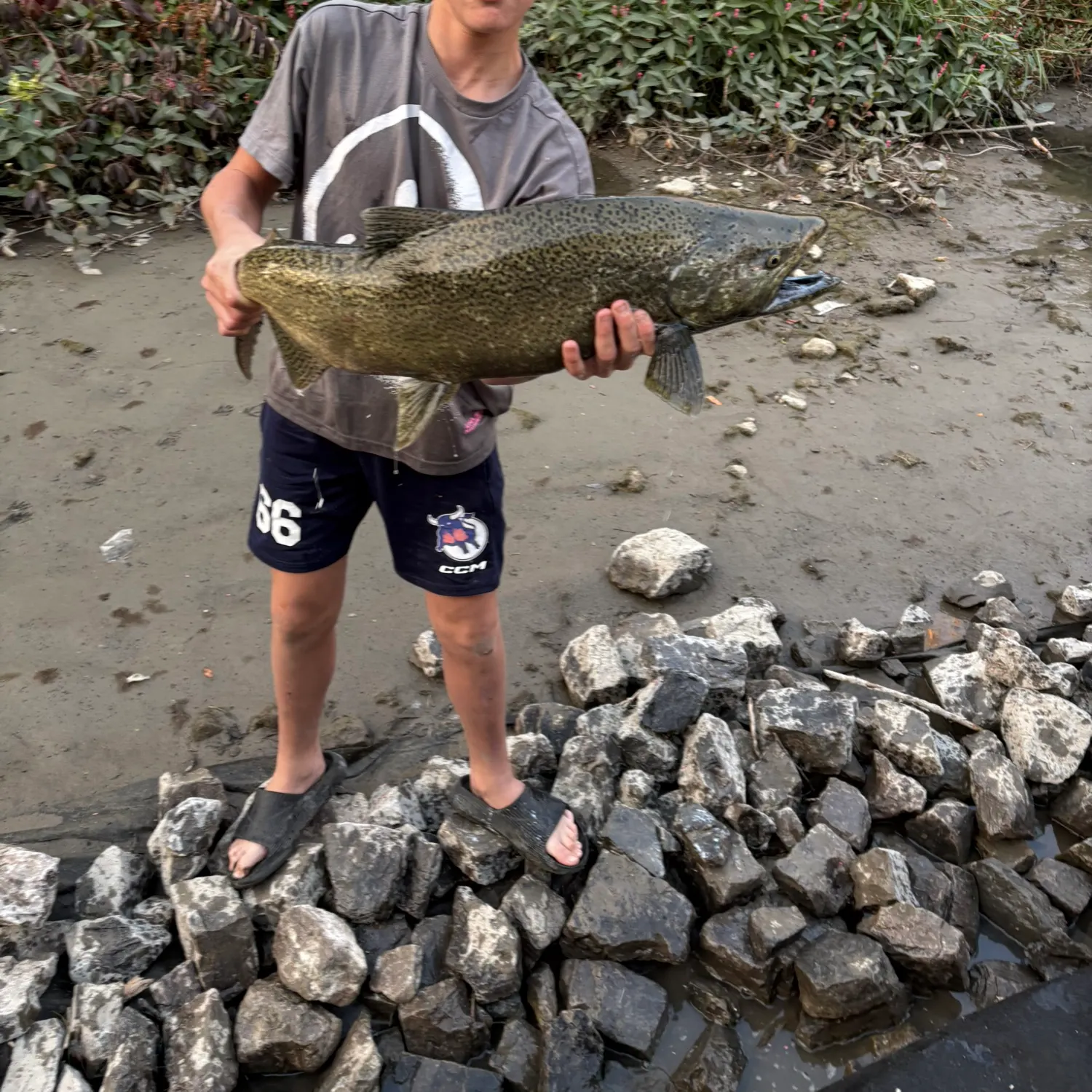 Fish caught on Fishbrain
