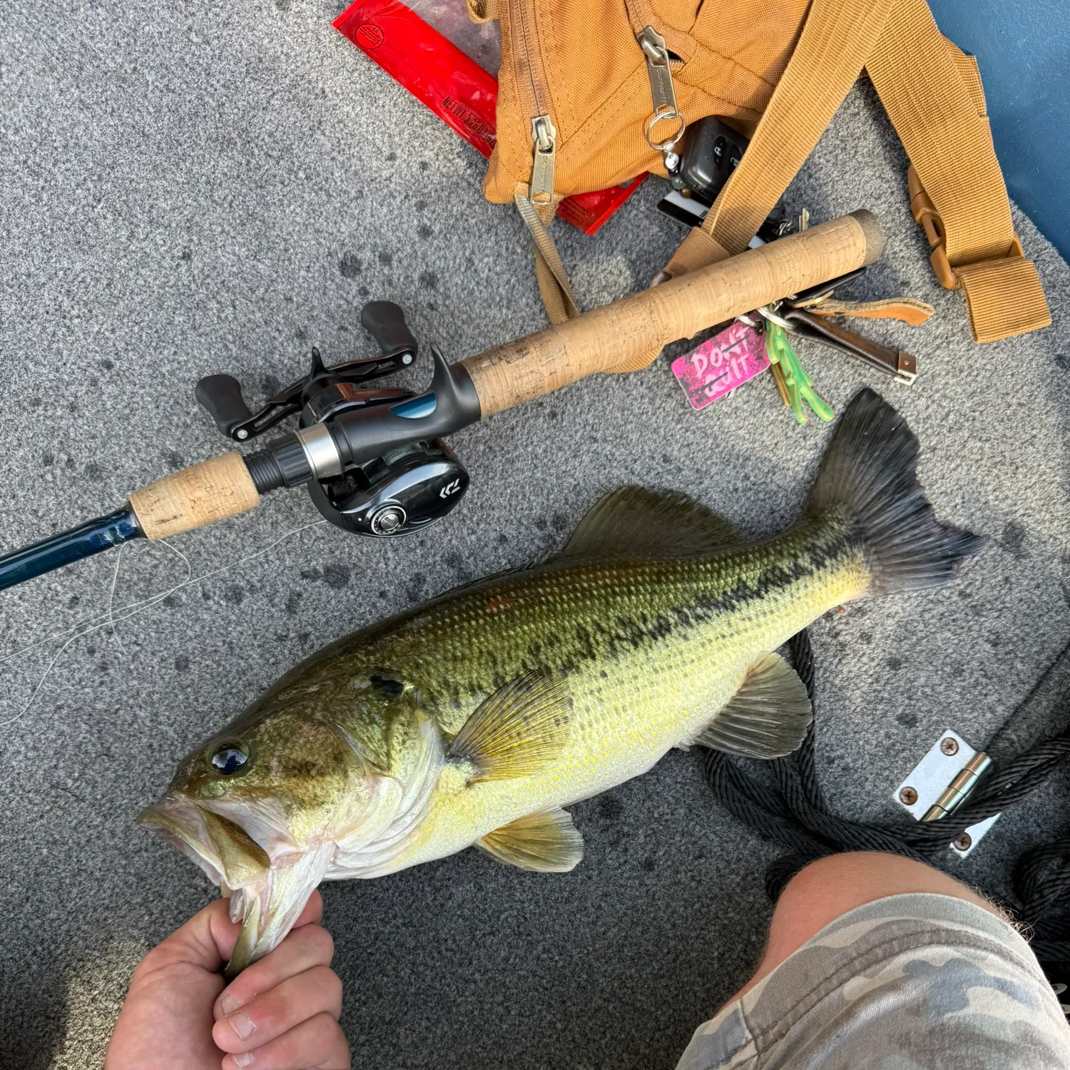 catch