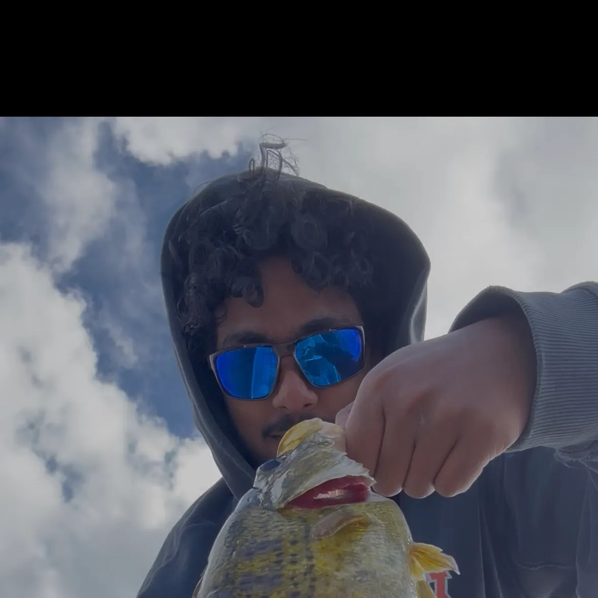 Rock bass caught on Fishbrain