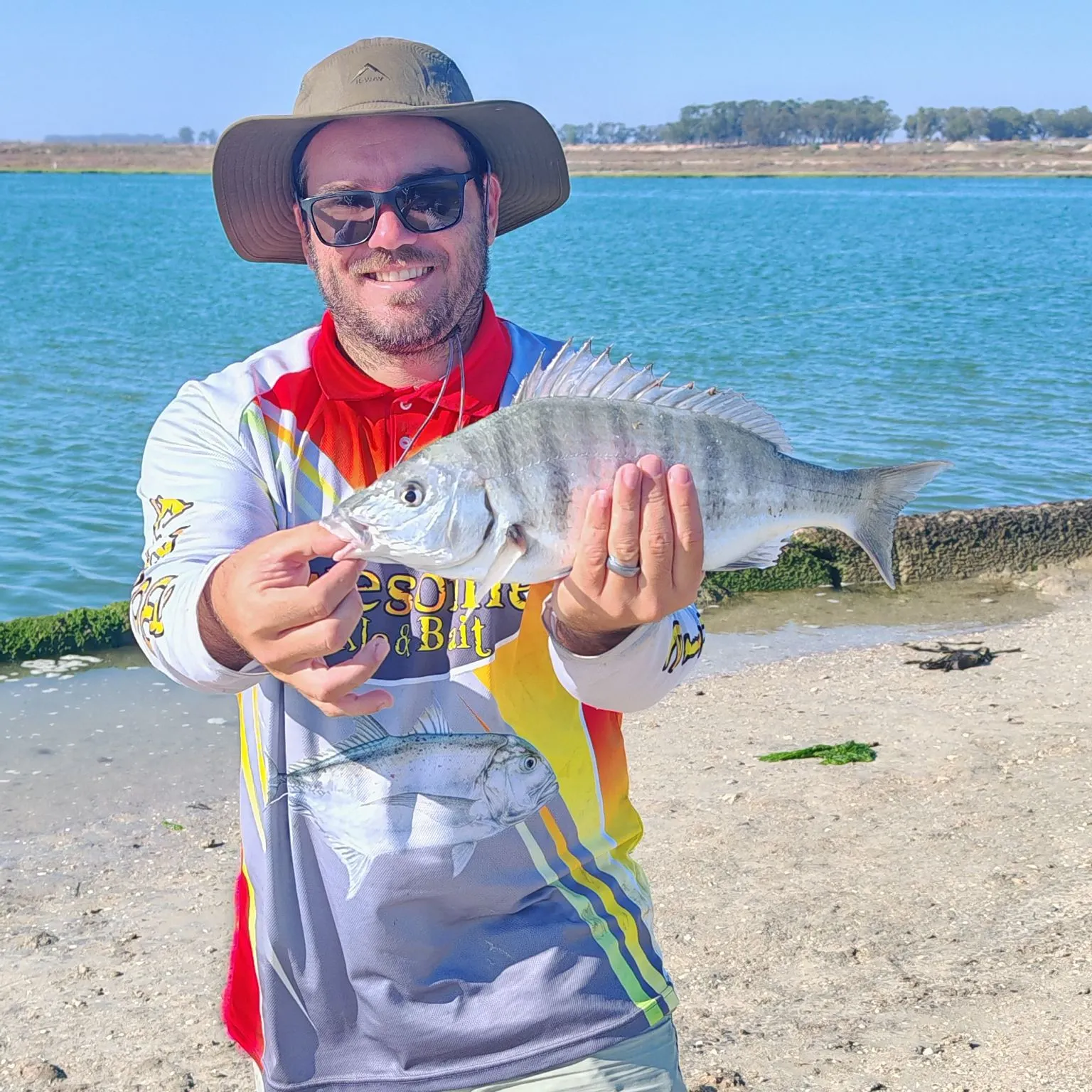 The most recent White steenbras catches on Fishbrain