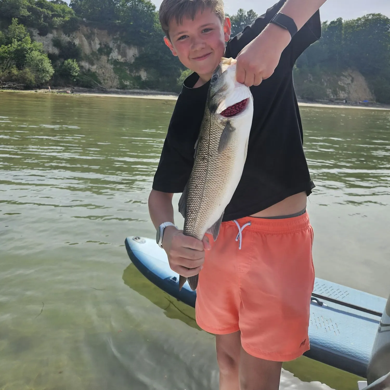 The most recent European seabass catches on Fishbrain