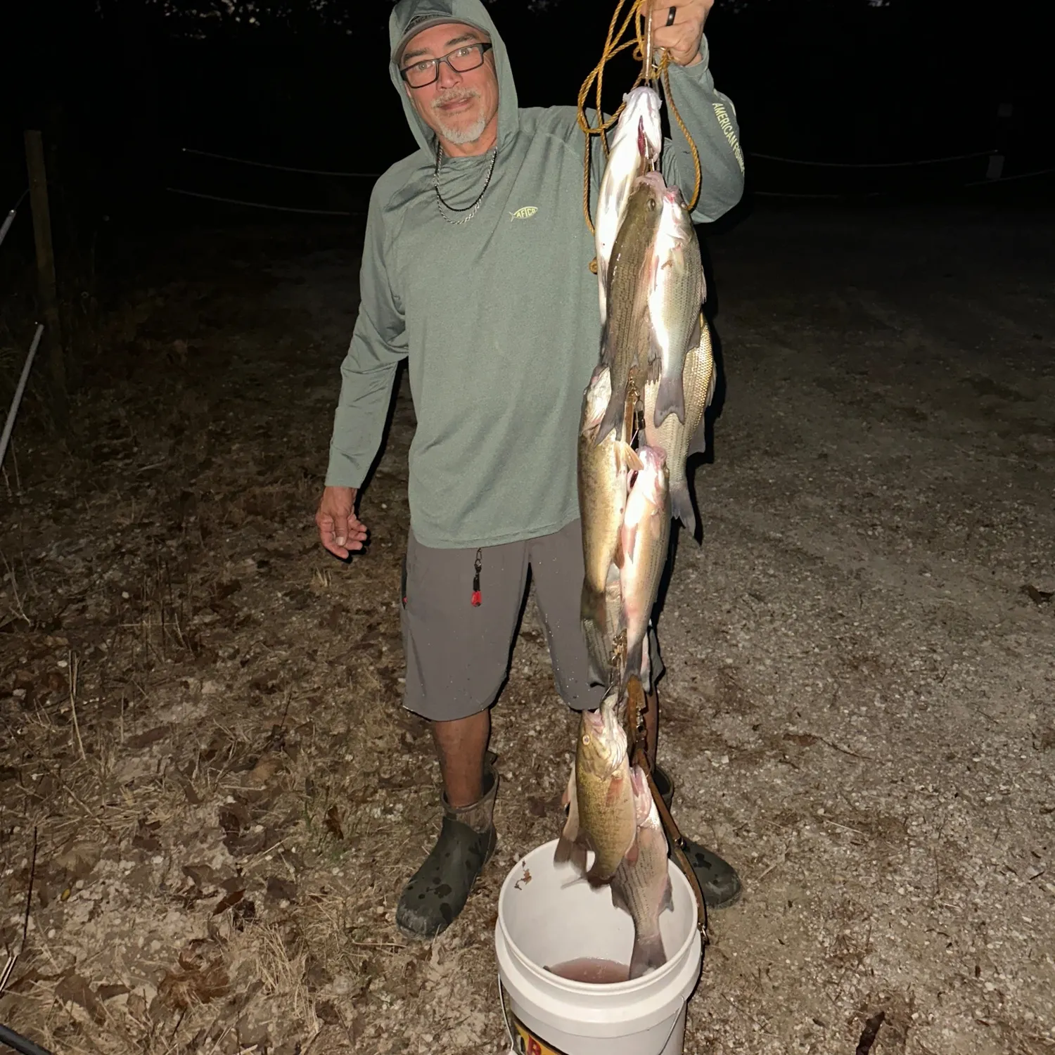 White bass caught on Fishbrain