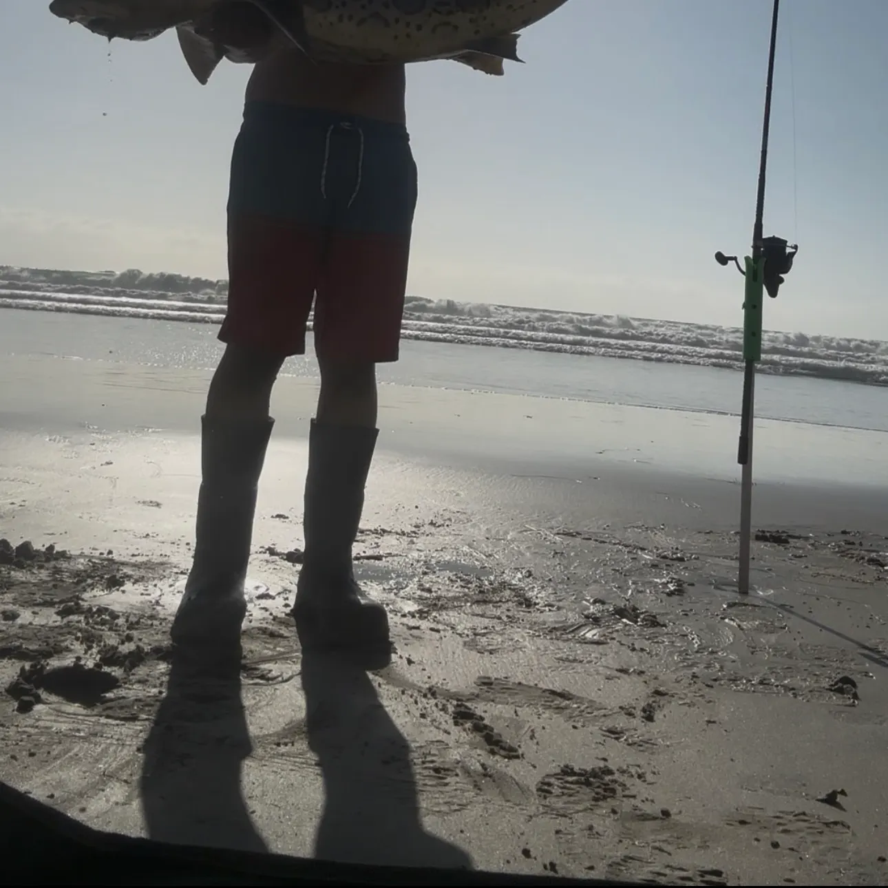 Leopard shark caught on Fishbrain
