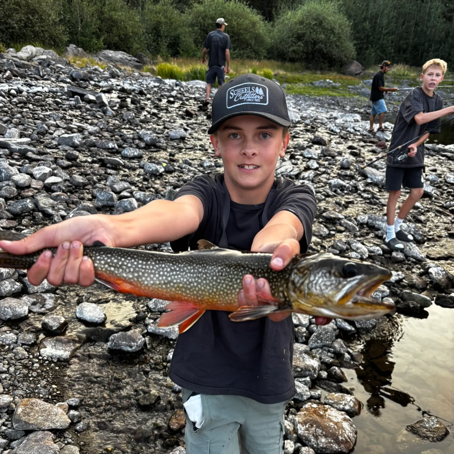 Splake caught on Fishbrain