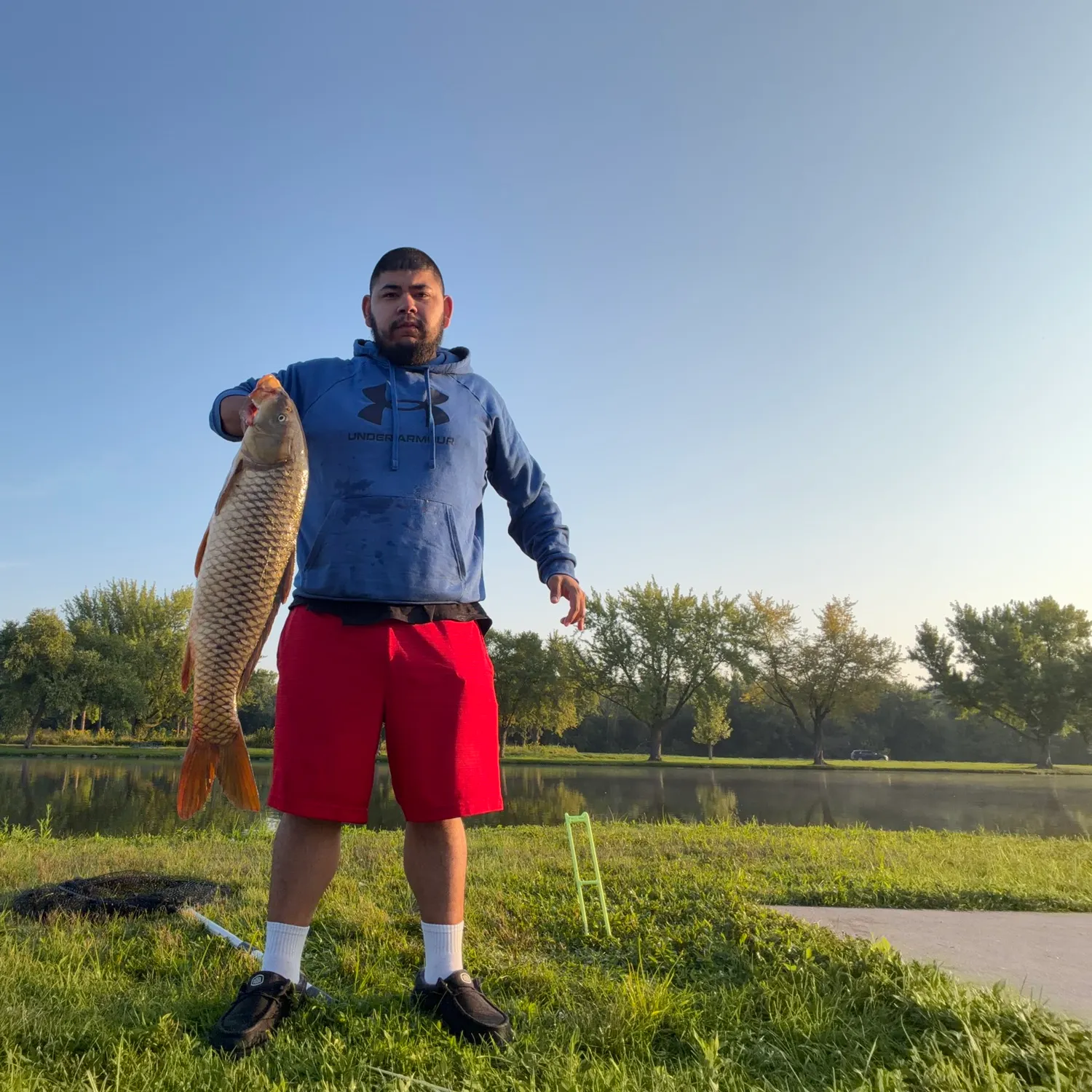 Common carp caught on Fishbrain