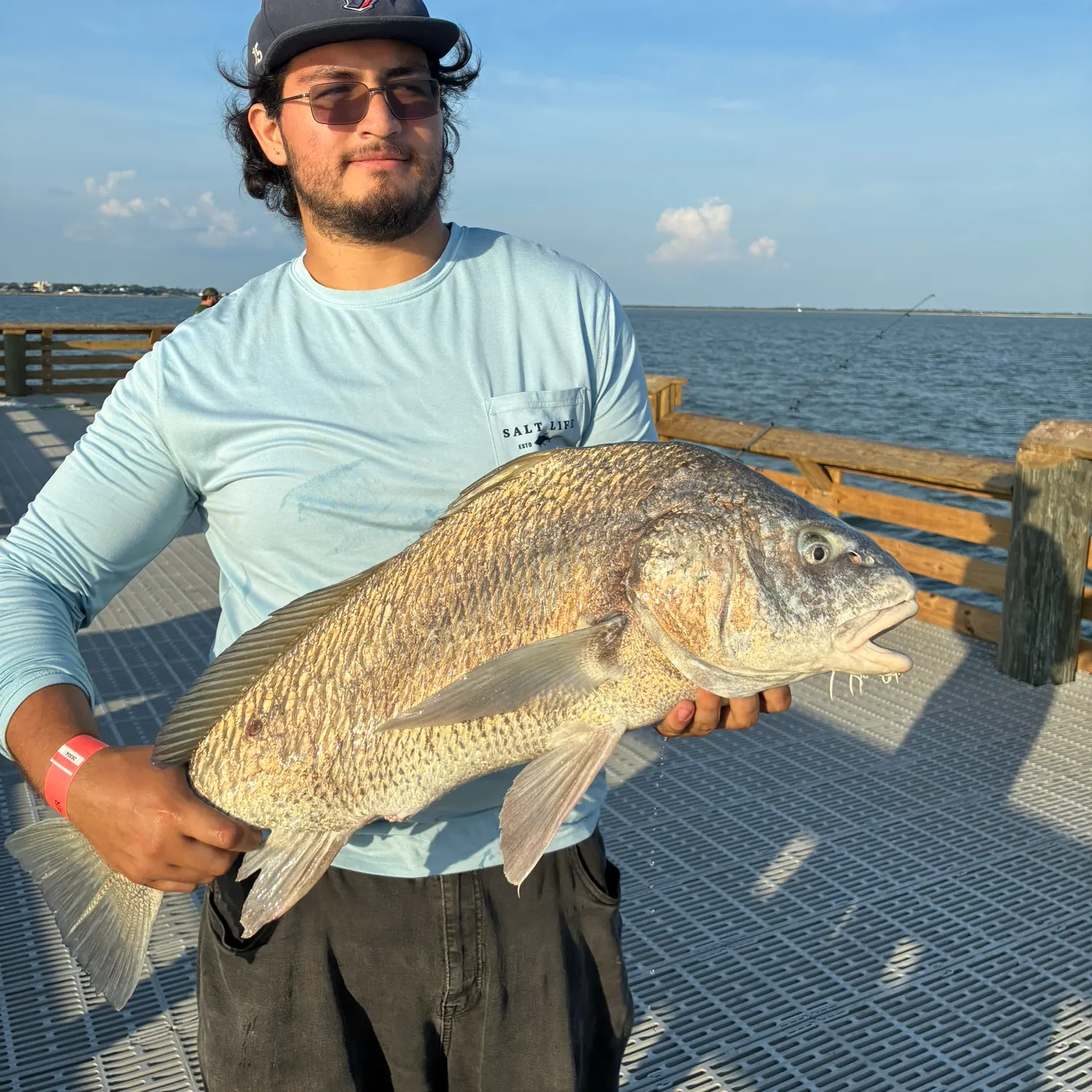 Black drum caught on Fishbrain