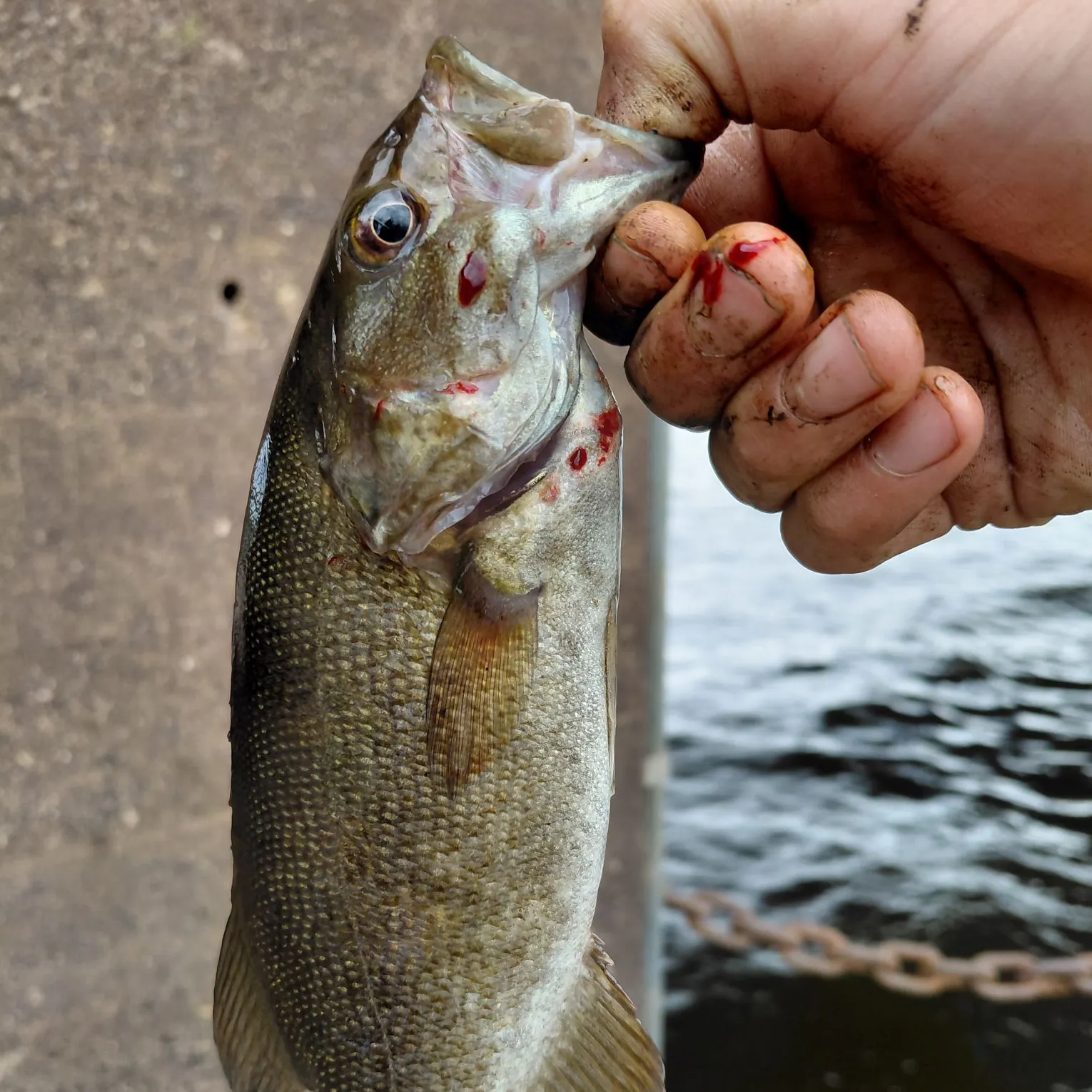 catch