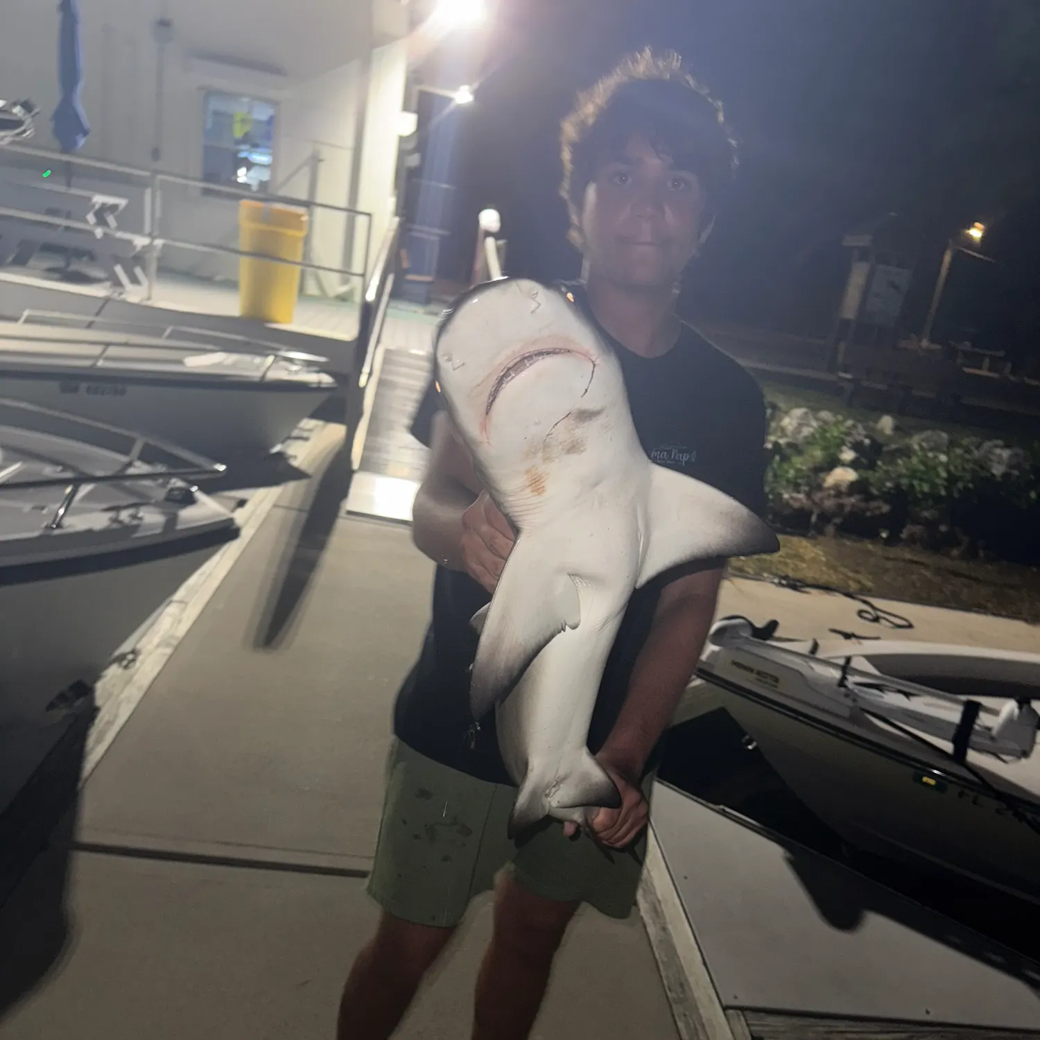 The most recent Lemon shark catches on Fishbrain