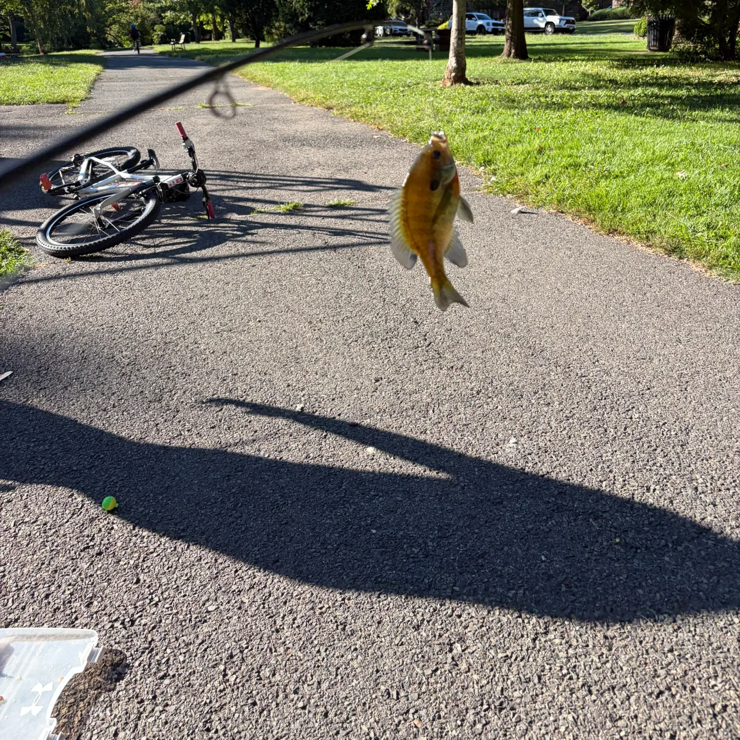 catch
