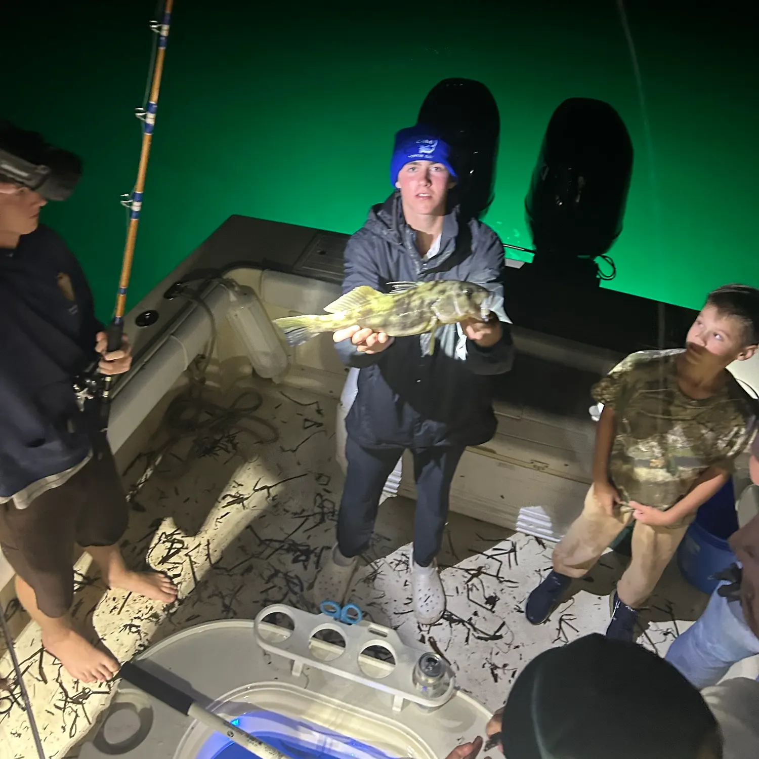 Barred sand bass caught on Fishbrain