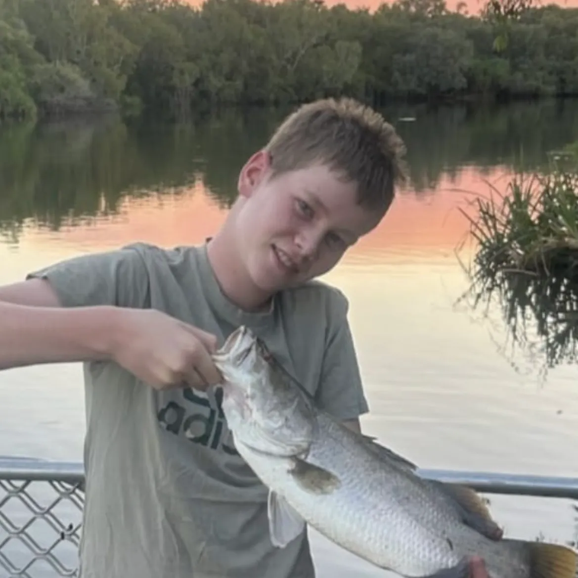 Barramundi caught on Fishbrain