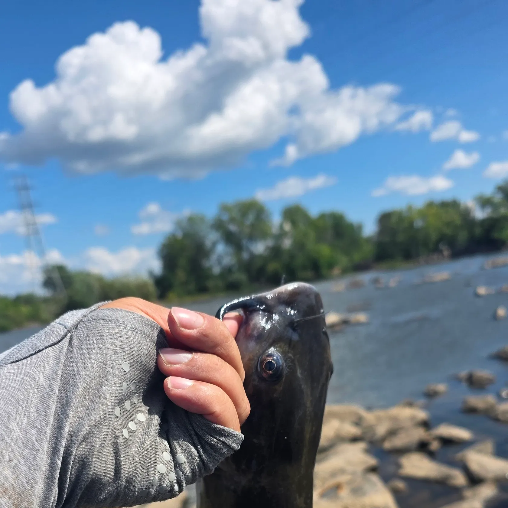 catch