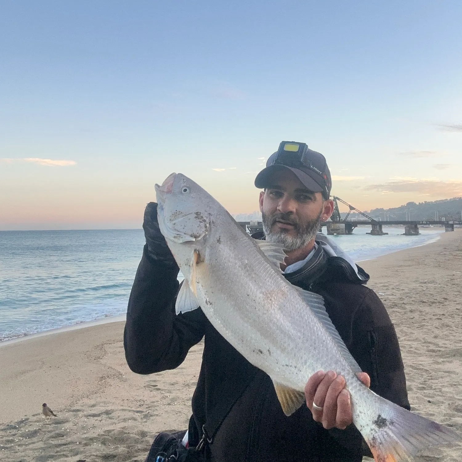 Whitemouth croaker caught on Fishbrain