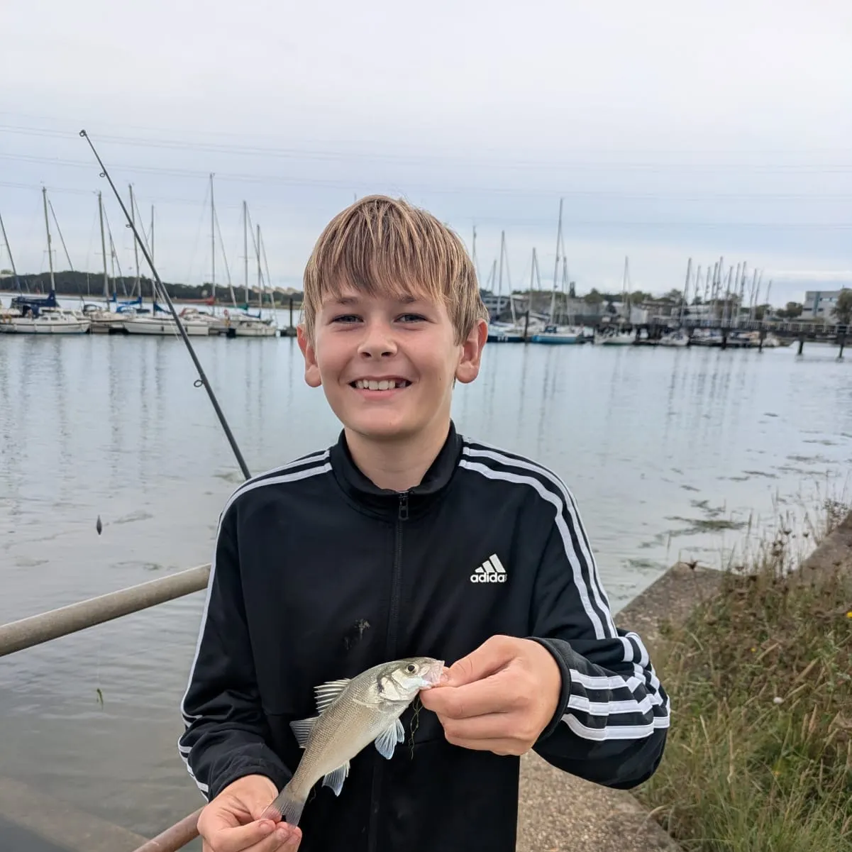 European seabass caught on Fishbrain