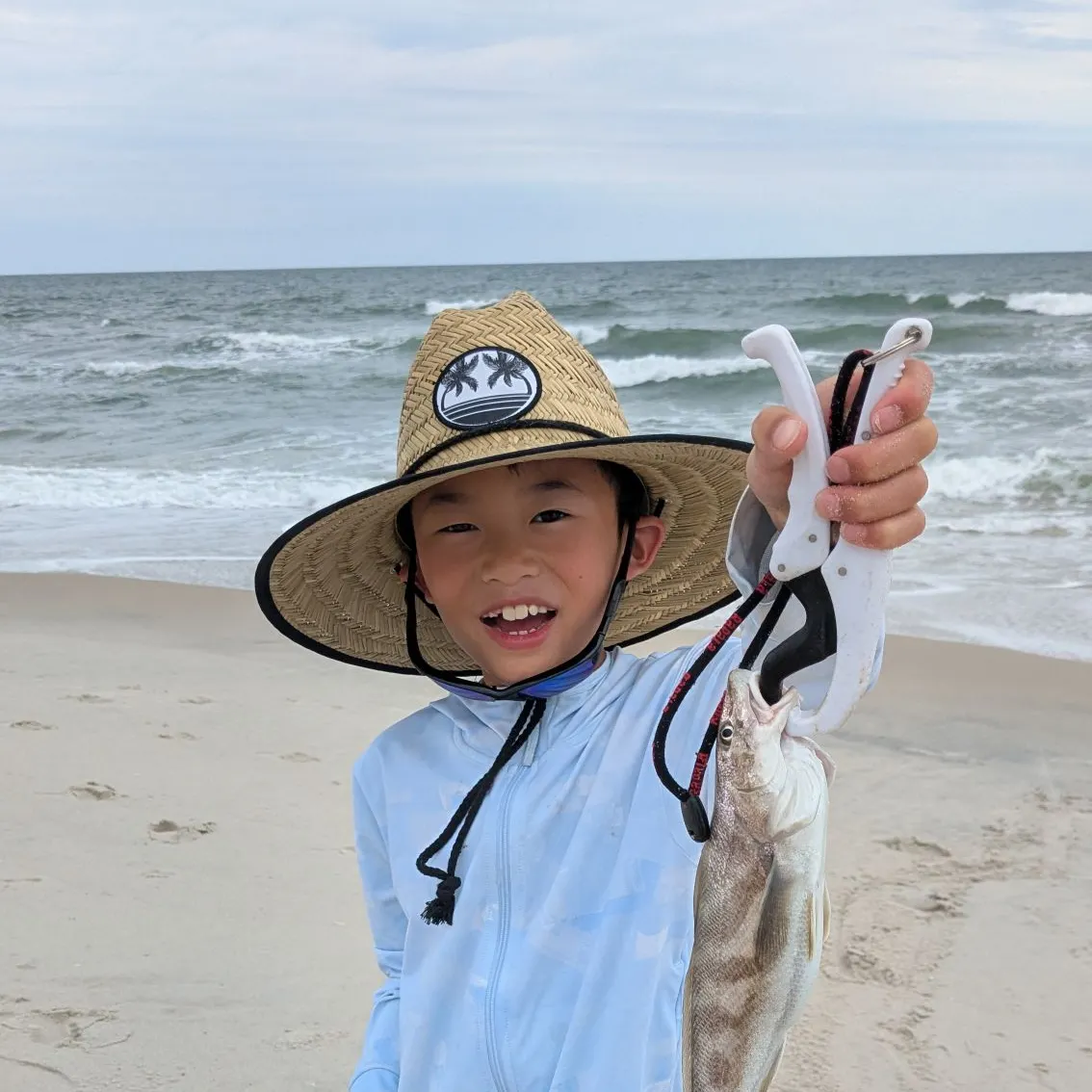 The most recent Southern kingcroaker catches on Fishbrain