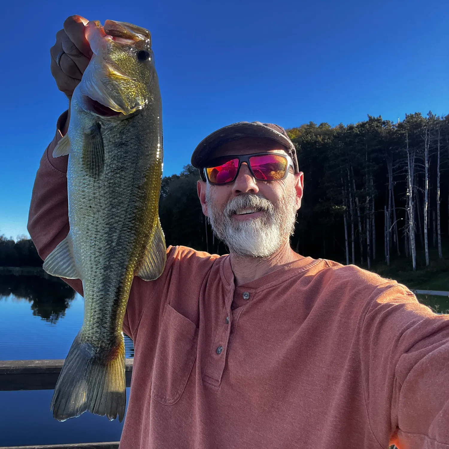 Largemouth bass caught on Fishbrain