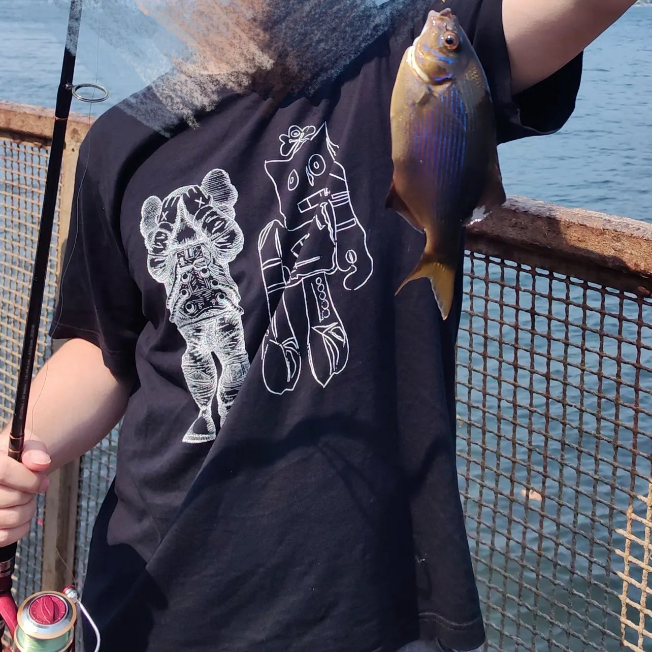Striped seaperch caught on Fishbrain