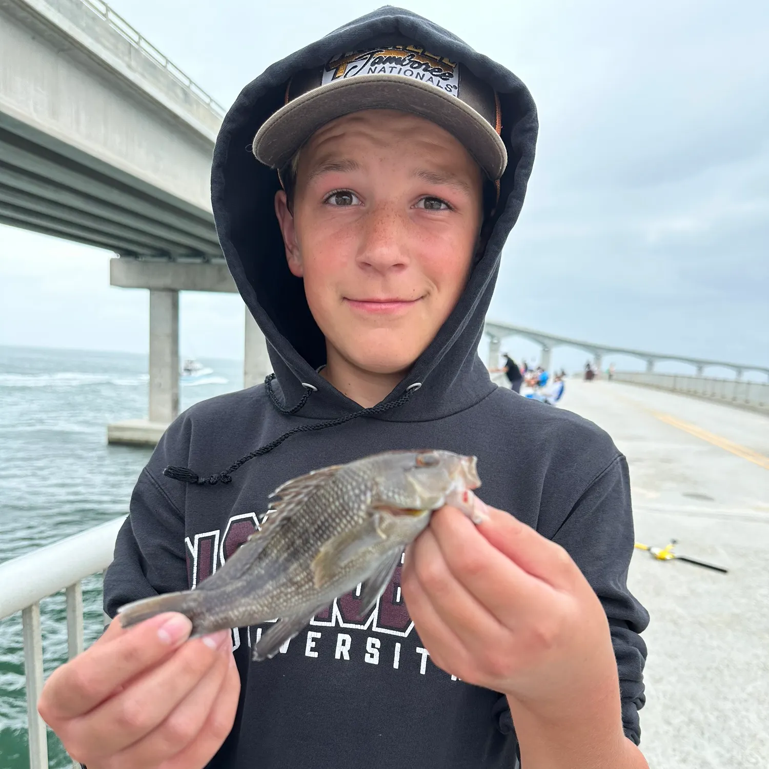 The most recent Black sea bass catches on Fishbrain