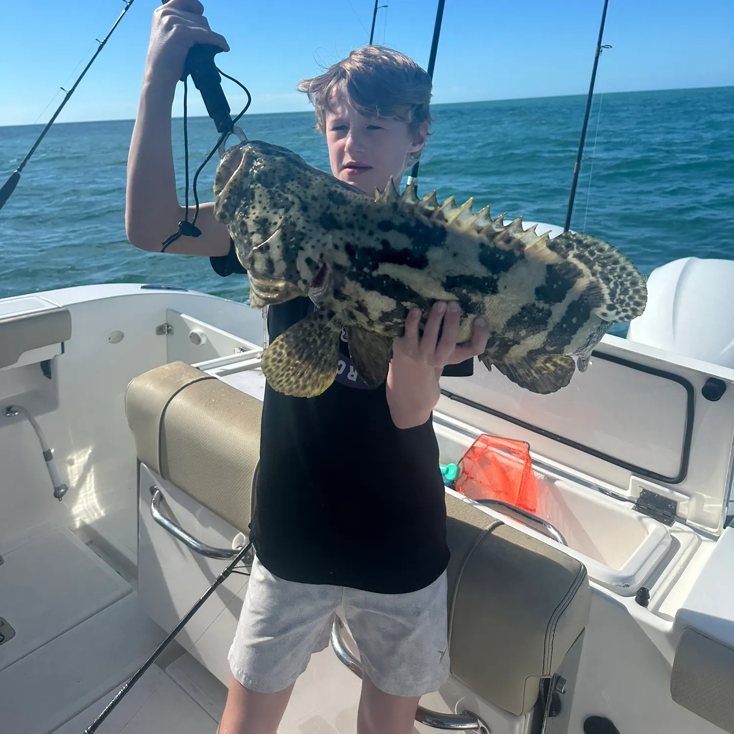 The most recent Atlantic goliath grouper catches on Fishbrain