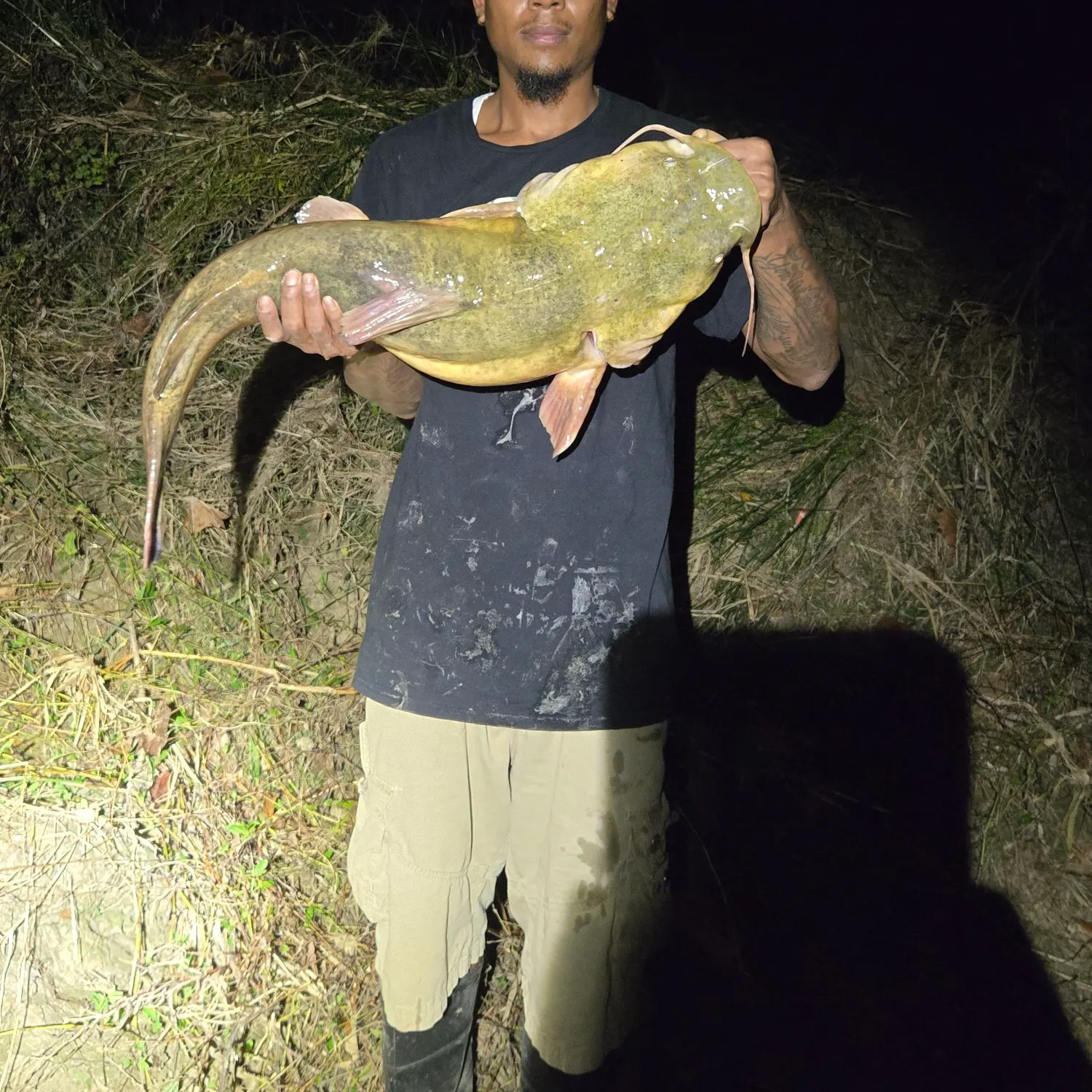 The most recent Flathead catfish catches on Fishbrain