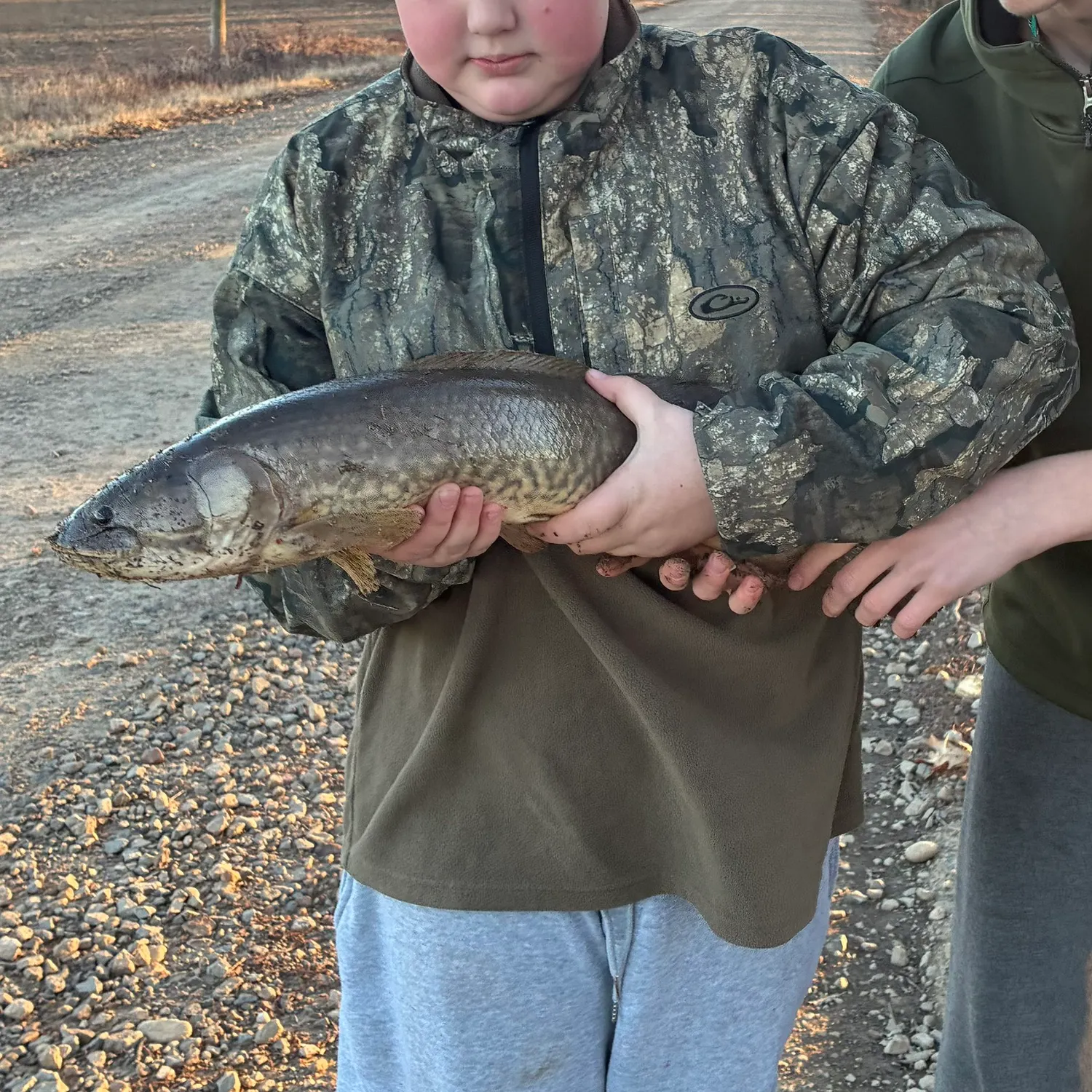 The most recent Eyetail bowfin catches on Fishbrain