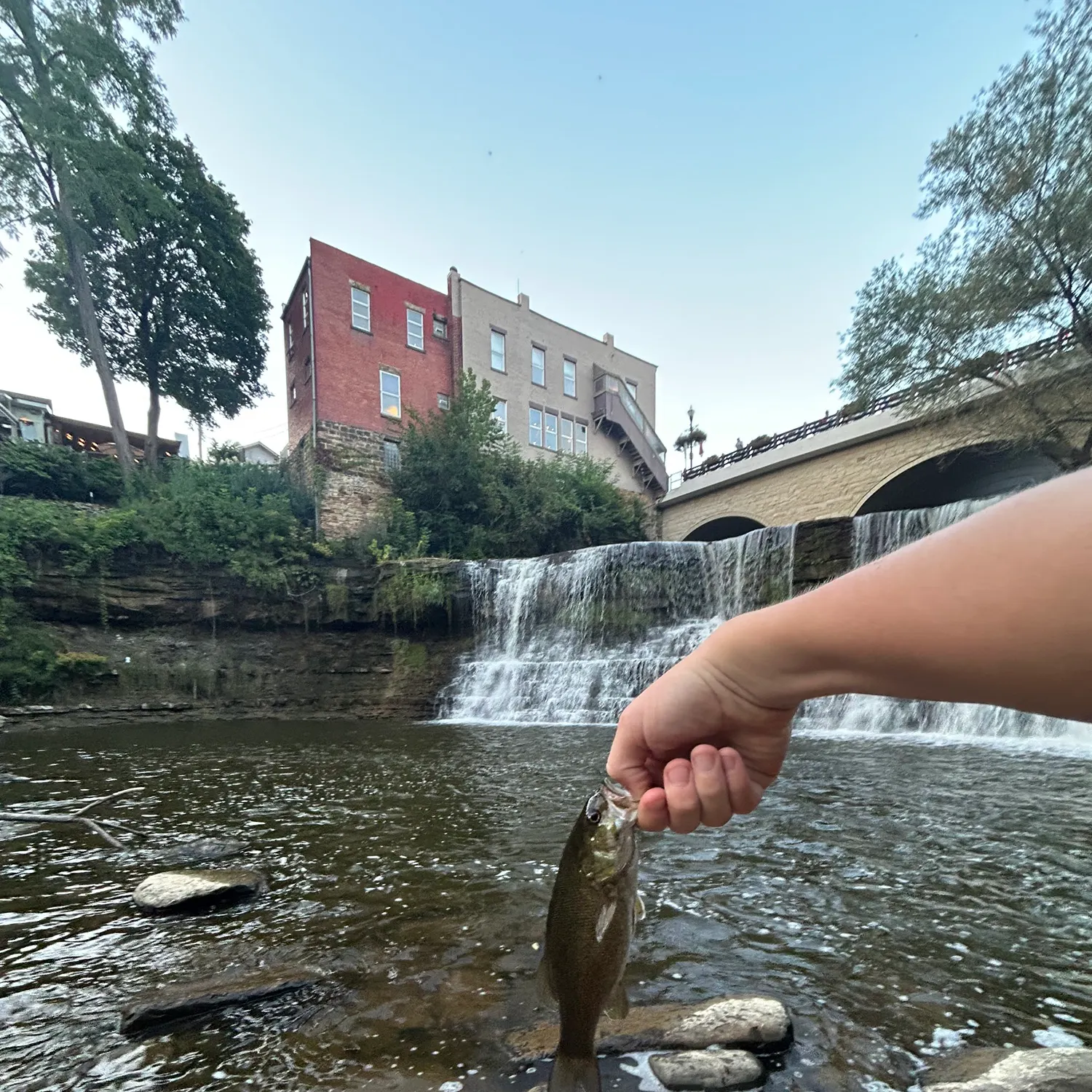 catch