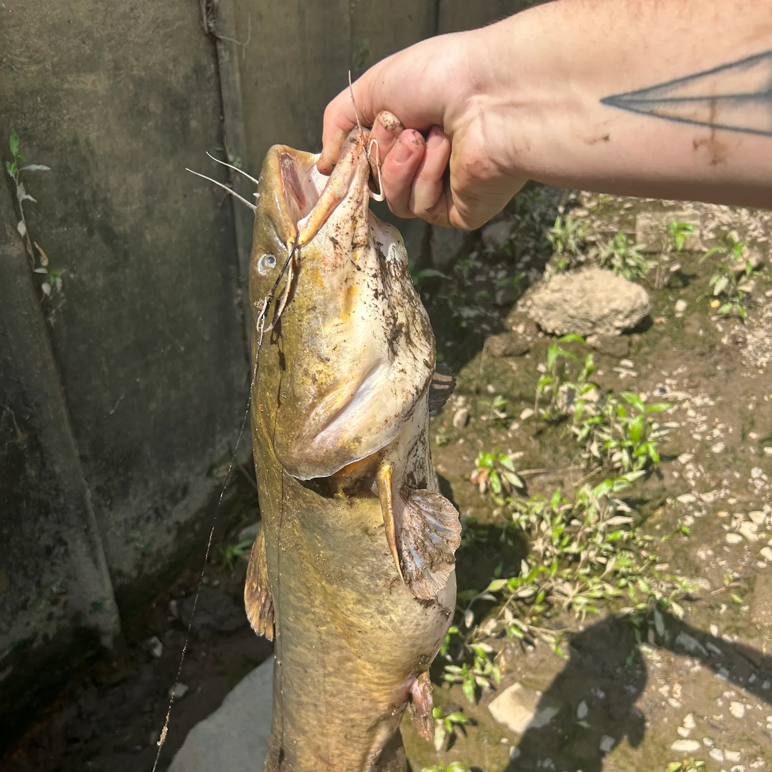 catch