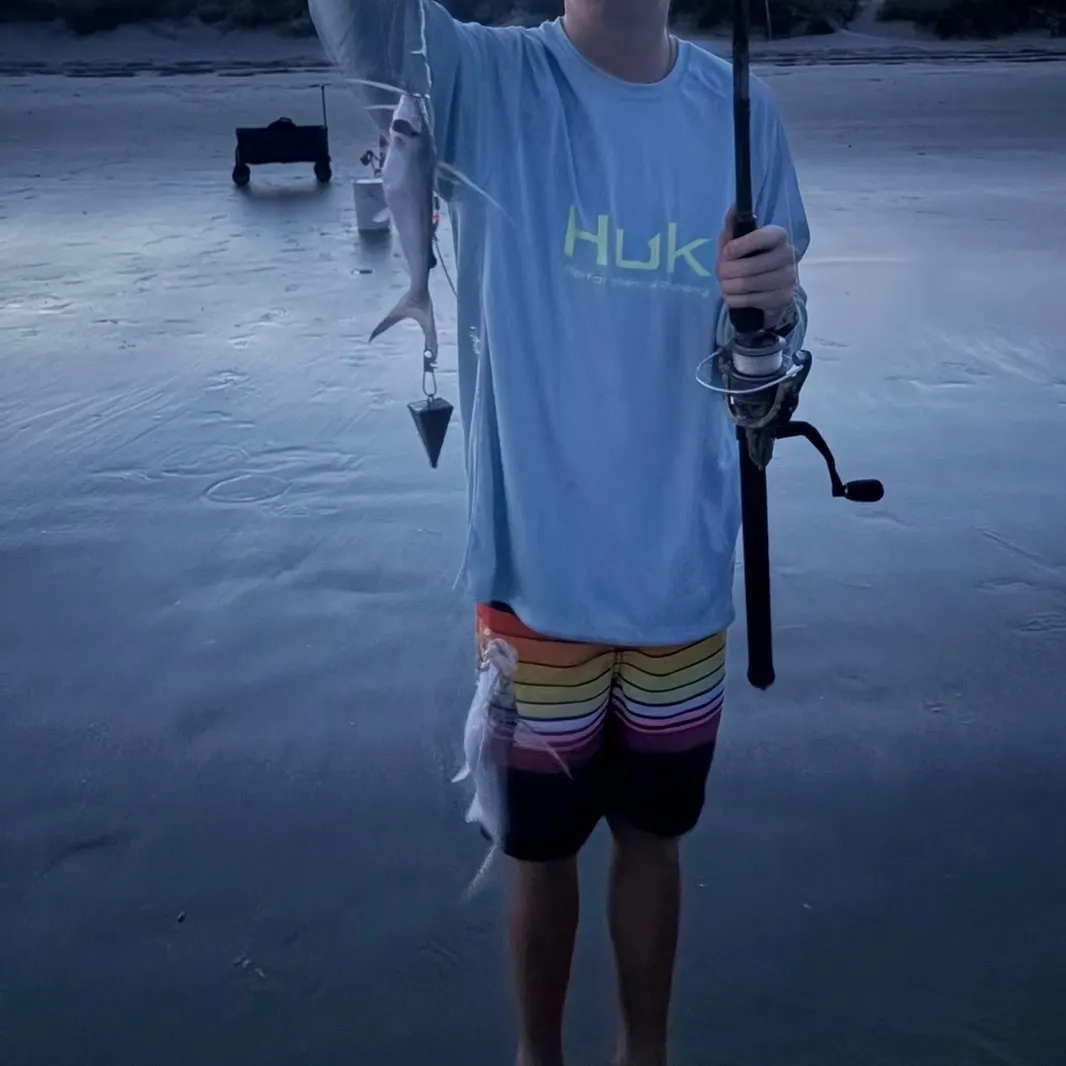 Gafftopsail sea catfish caught on Fishbrain