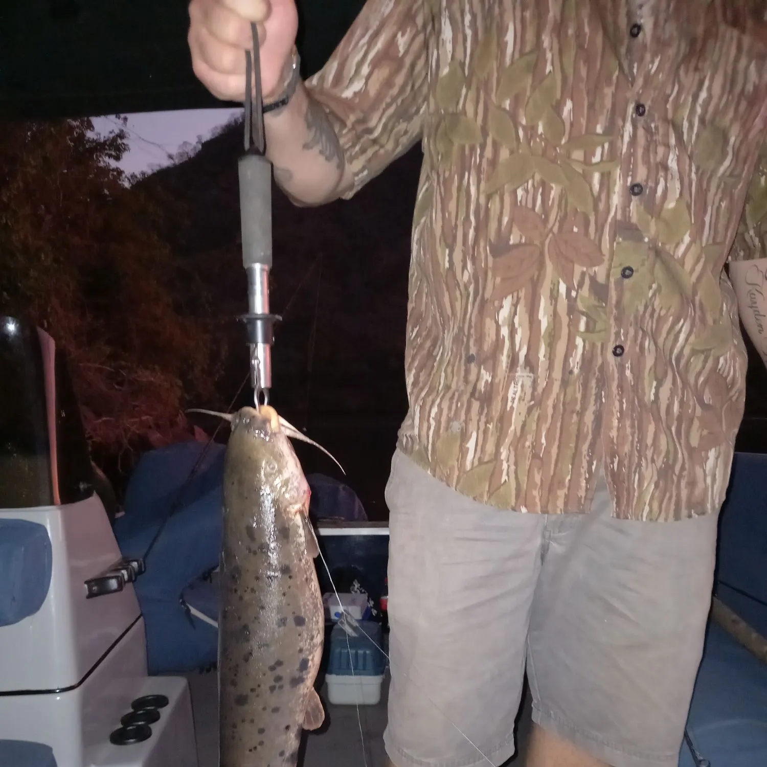 recently logged catches